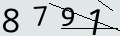 verifycode